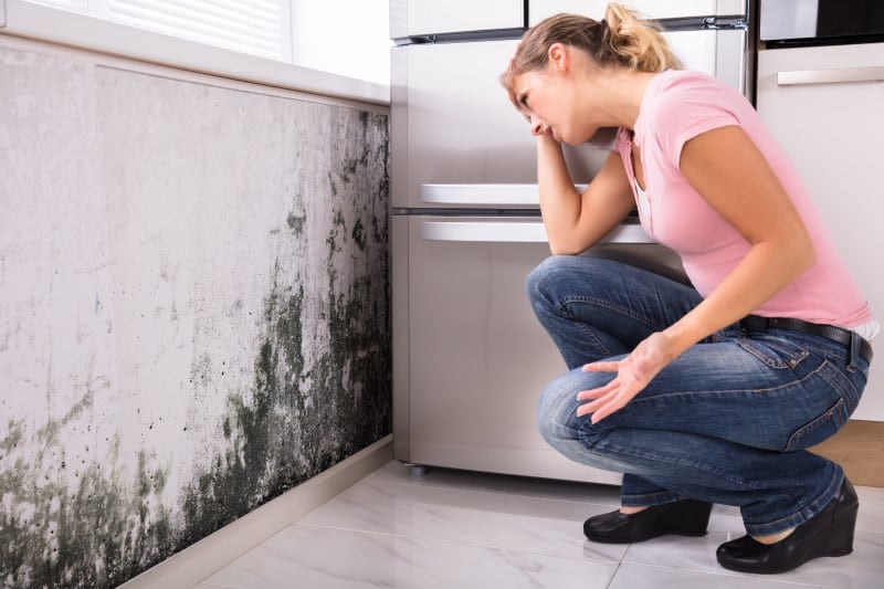 Cómo quitar la humedad de las paredes y evitar que reaparezca