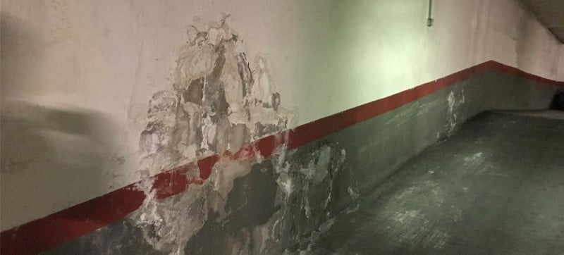 Moho blanco en la pared: por qué sale y cómo eliminarlo - Iberdeco